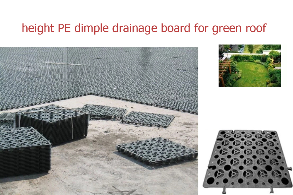 height PE dimple drainage board for green roof
